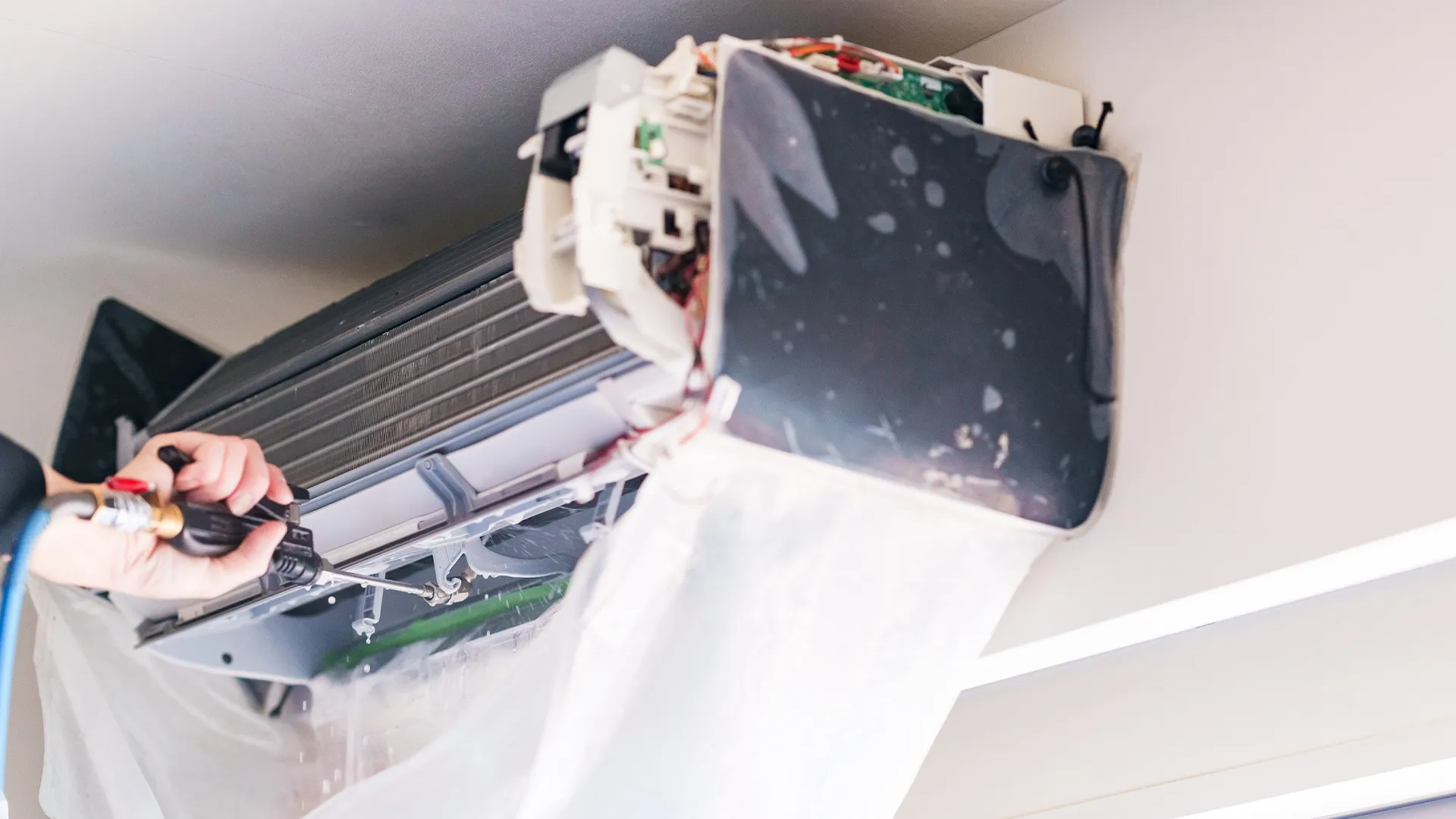 ネット・エース