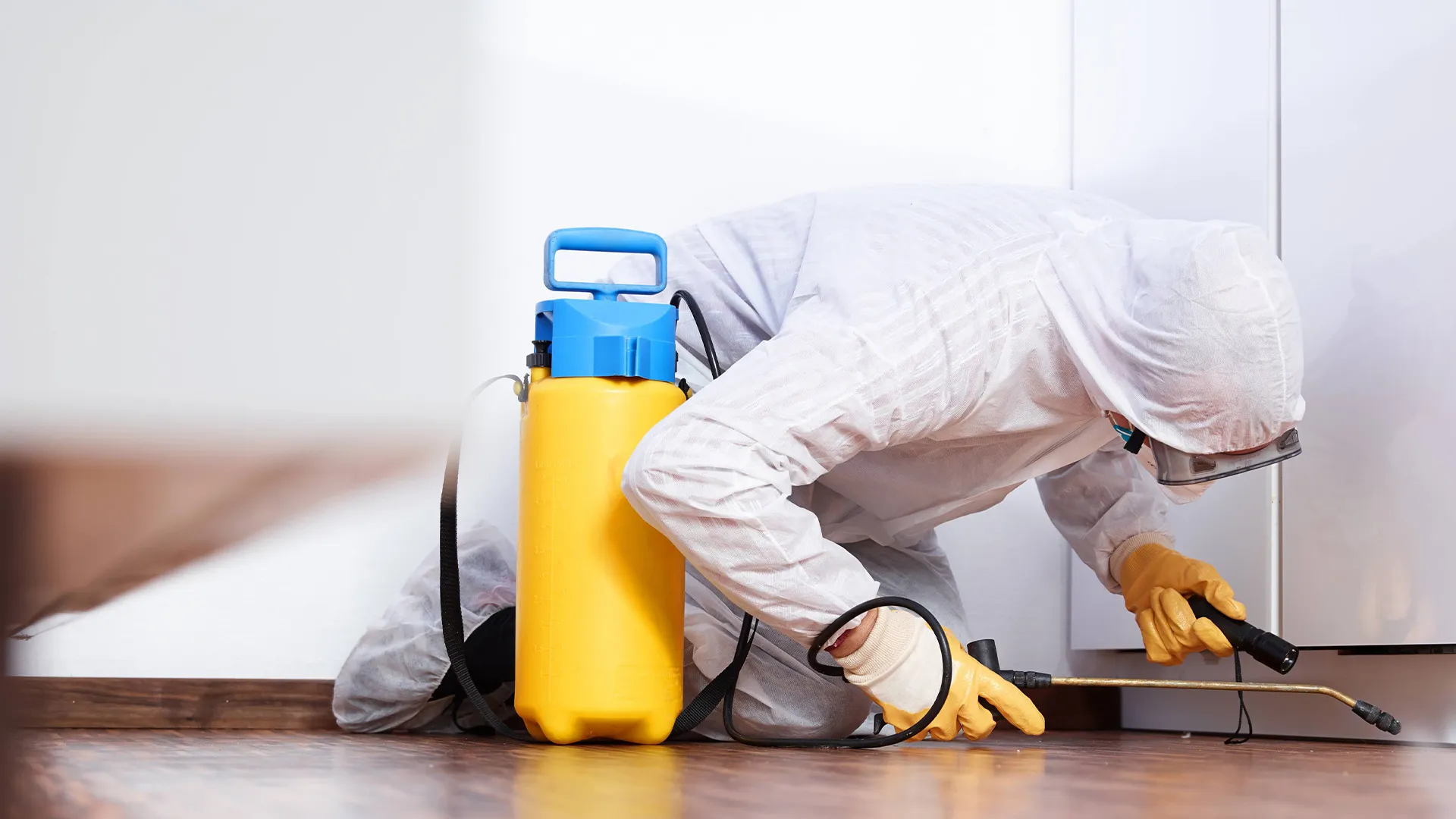 ネット・エース