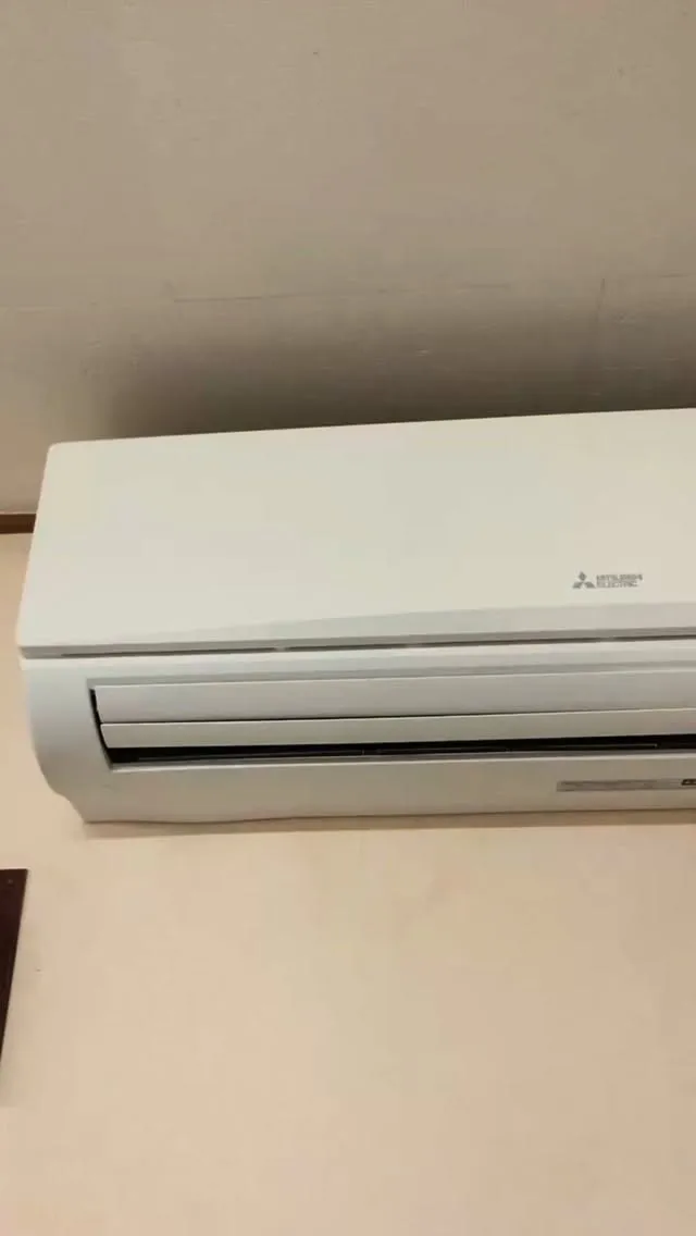 桜🌸風で散っちゃった⁉️