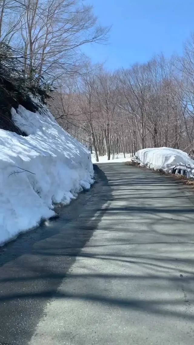 定期トイレクリーニング🚽
