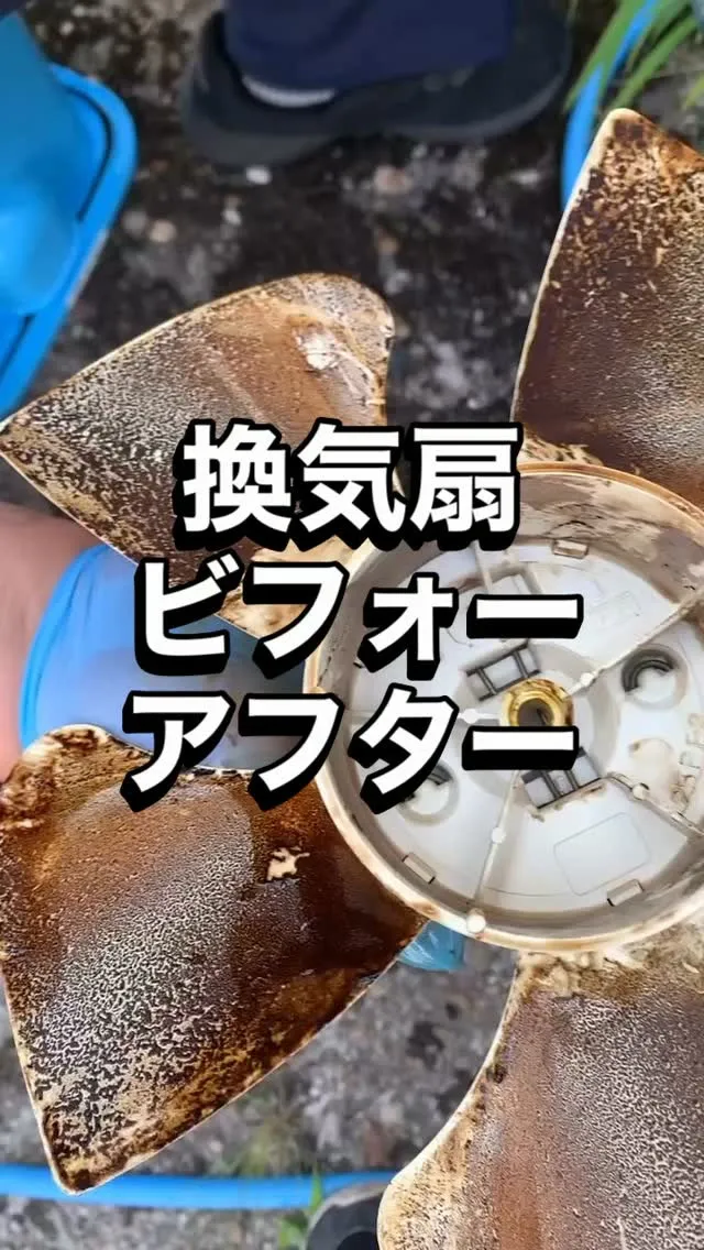 ビフォーアフター